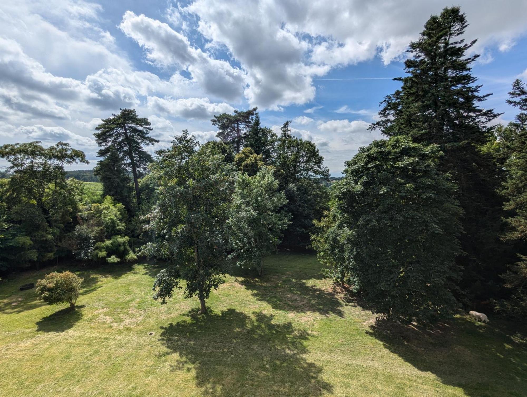Chadurie Domaine Du Faure B&B 외부 사진